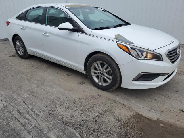 Vin: 5npe24af0gh425905, lot: 80327783, hyundai sonata se 20164