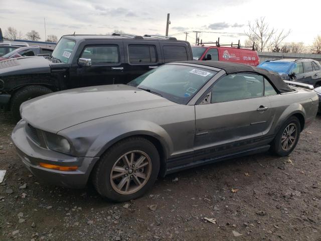 Lot #2475390505 2005 FORD MUSTANG salvage car
