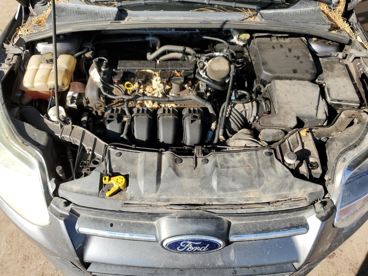 1FADP3K23EL150595 2014 Ford Focus Se