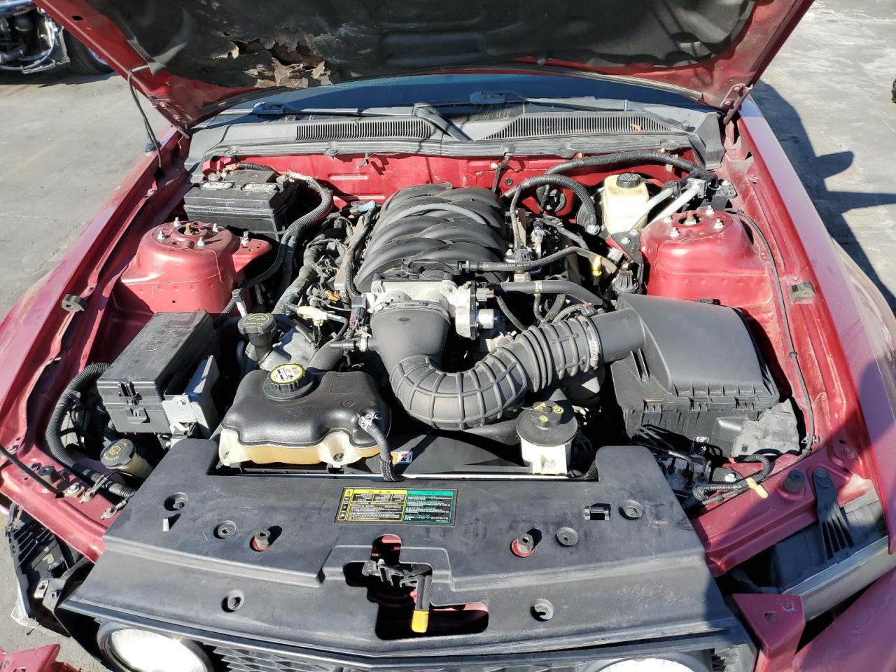 1ZVFT85H655222127 2005 Ford Mustang Gt 1ZVFT85H655222127 2005 Ford Mustang Gt