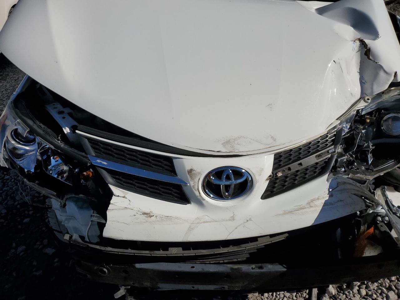 JTMWFREV5EJ020568 2014 Toyota Rav4 Xle