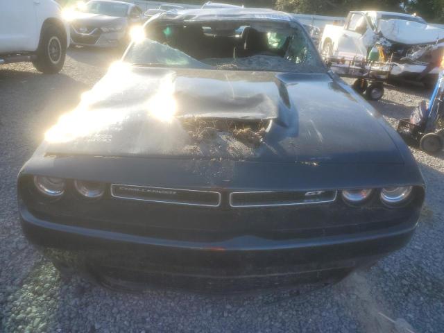 2C3CDZJG1PH507291 | 2023 Dodge challenger gt