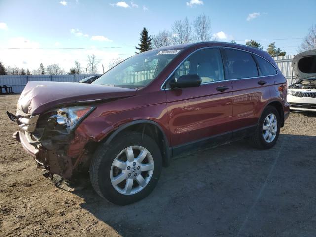 Vin: 5j6re4h36al812315, lot: 79856003, honda crv lx 2010 img_1