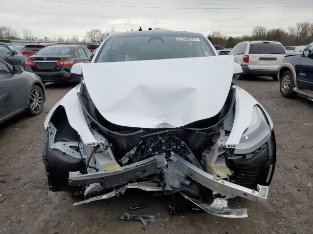 7SAYGDEE6PF887421 | 2023 TESLA MODEL Y