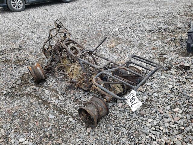 2005 HONDA TRX250 TM 1HFTE210054510170