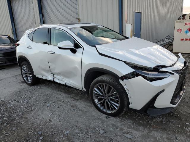 JTJGGCEZ0N5000641 | 2022 LEXUS NX 350