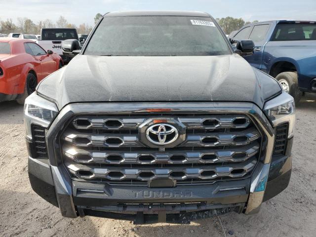 2022 Toyota Tundra Crewmax Platinum VIN: 5TFNA5AB6NX001376 Lot: 81763303