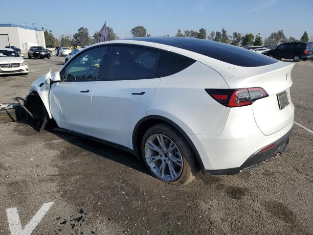 7SAYGDEEXNF428227 | 2022 TESLA MODEL Y