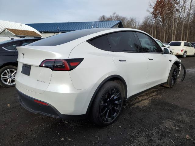 7SAYGAEE7PF671446 | 2023 TESLA MODEL Y