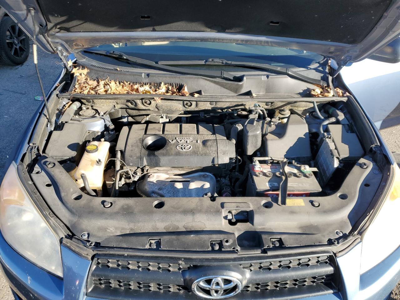 JTMBF4DV1A5031251 2010 Toyota Rav4