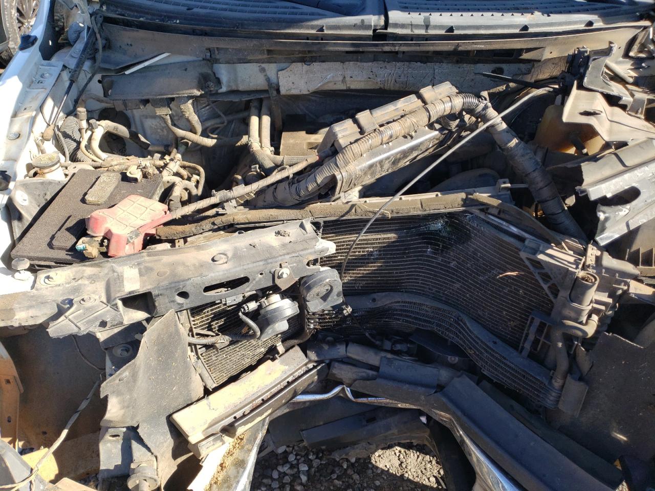 1FTNF1CF1BKD82458 2011 Ford F150