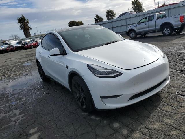 5YJYGDEE7MF074422 | 2021 TESLA MODEL Y