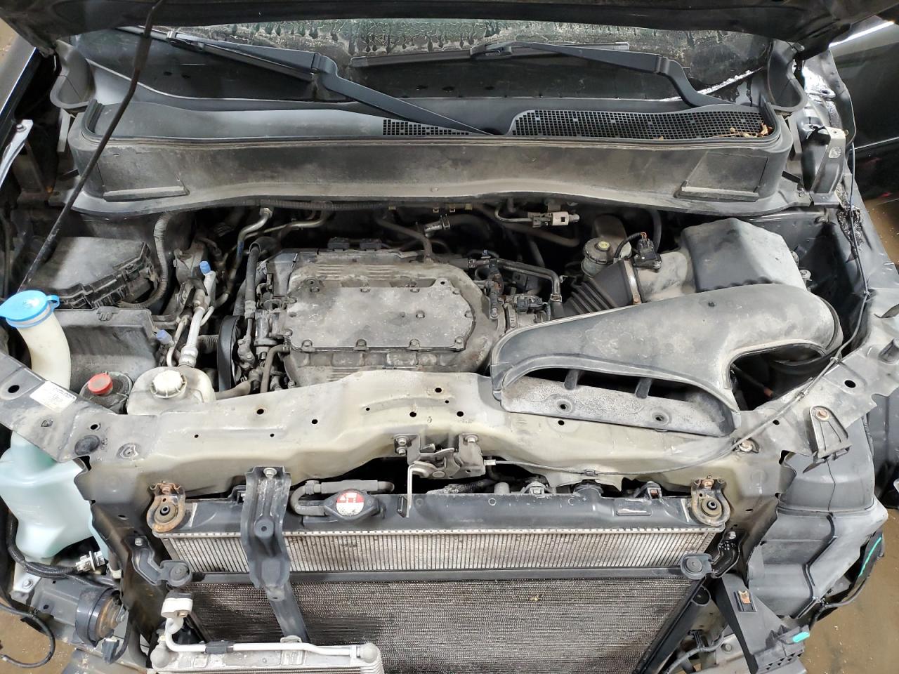 5FNYF4H72BB086376 2011 Honda Pilot Exln