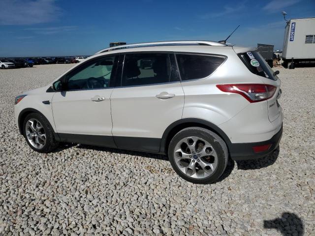 1FMCU0J91EUA37438 2014 FORD ESCAPE, photo no. 2