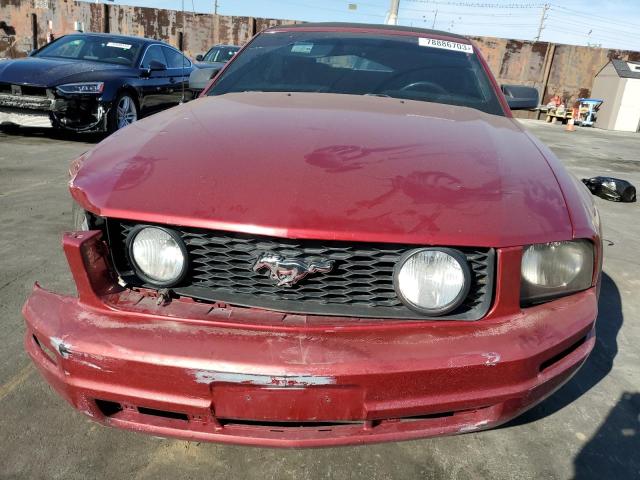 1ZVFT85H655222127 2005 Ford Mustang Gt 1ZVFT85H655222127 2005 Ford Mustang Gt
