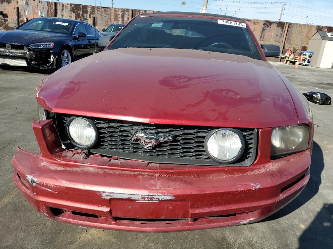 1ZVFT85H655222127 2005 Ford Mustang Gt 1ZVFT85H655222127 2005 Ford Mustang Gt