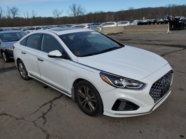 5NPE34AF5KH763354 | 2019 Hyundai sonata limited