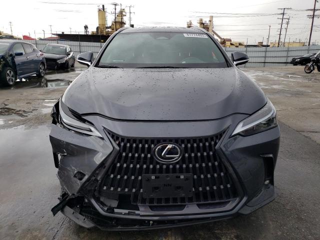 2023 LEXUS NX 250 2T2ADCAZ2PC003873