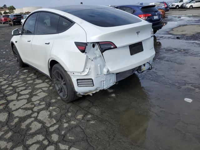 5YJYGDEE7MF074422 | 2021 TESLA MODEL Y