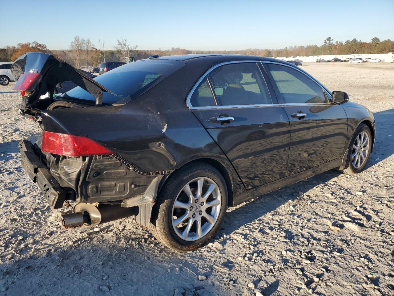 Lot #3025797318 2006 ACURA TSX