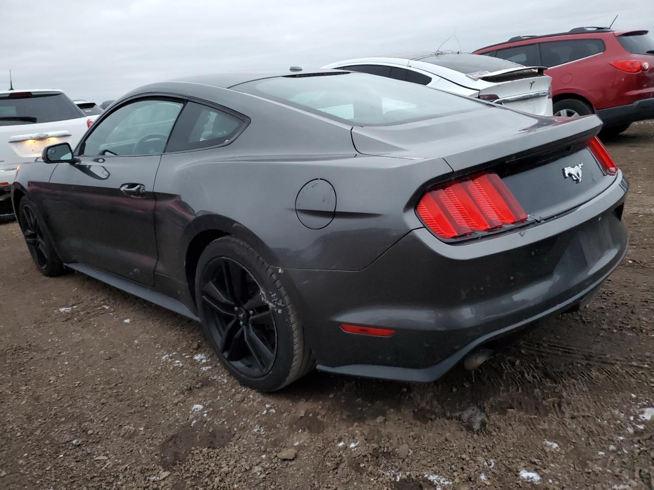 Lot #3029363711 2015 FORD MUSTANG