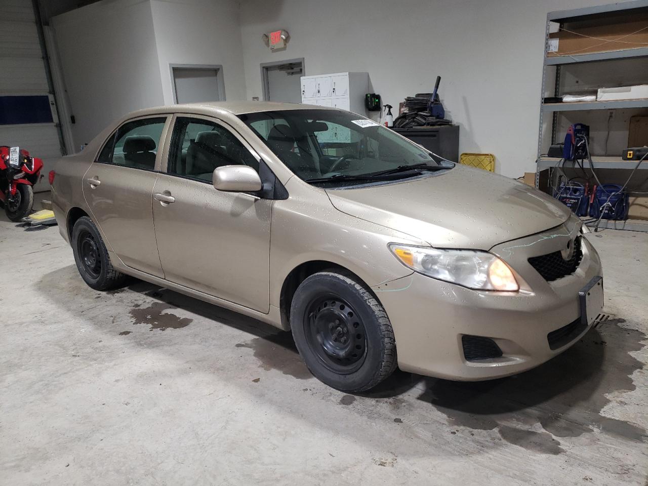 Lot #3033327896 2010 TOYOTA COROLLA BA