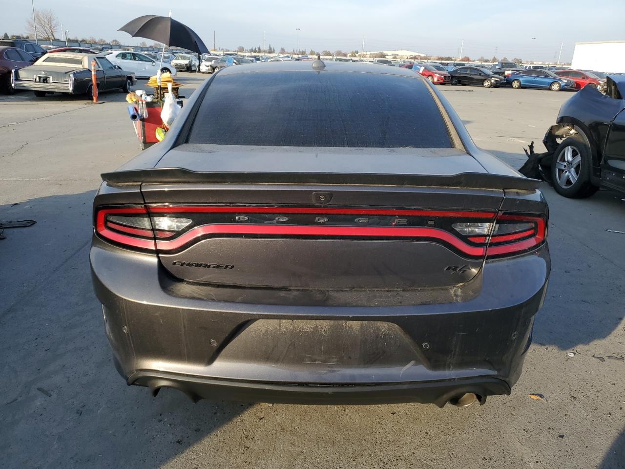 Lot #3030624093 2022 DODGE CHARGER R/