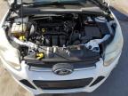 Lot #3025077285 2013 FORD FOCUS SE