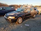 Lot #3023798921 1998 TOYOTA COROLLA VE