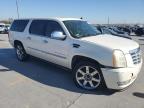 Lot #3024352577 2008 CADILLAC ESCALADE E