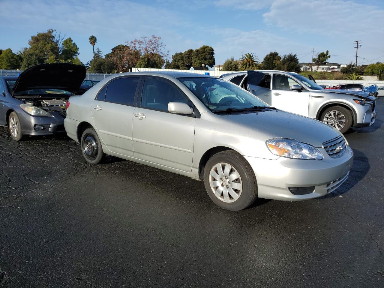 Lot #3028246831 2003 TOYOTA COROLLA CE