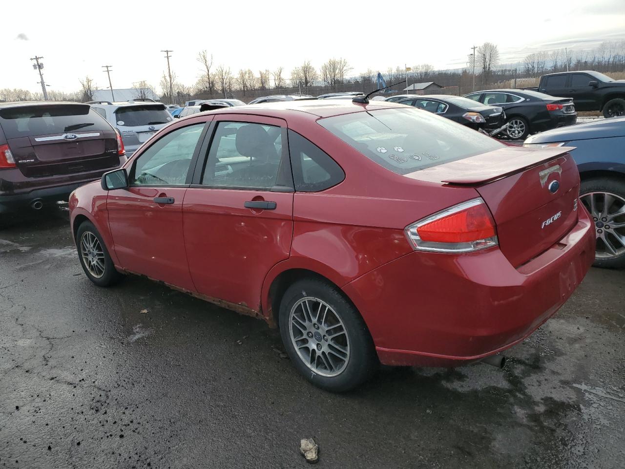 Lot #3025721336 2010 FORD FOCUS SE