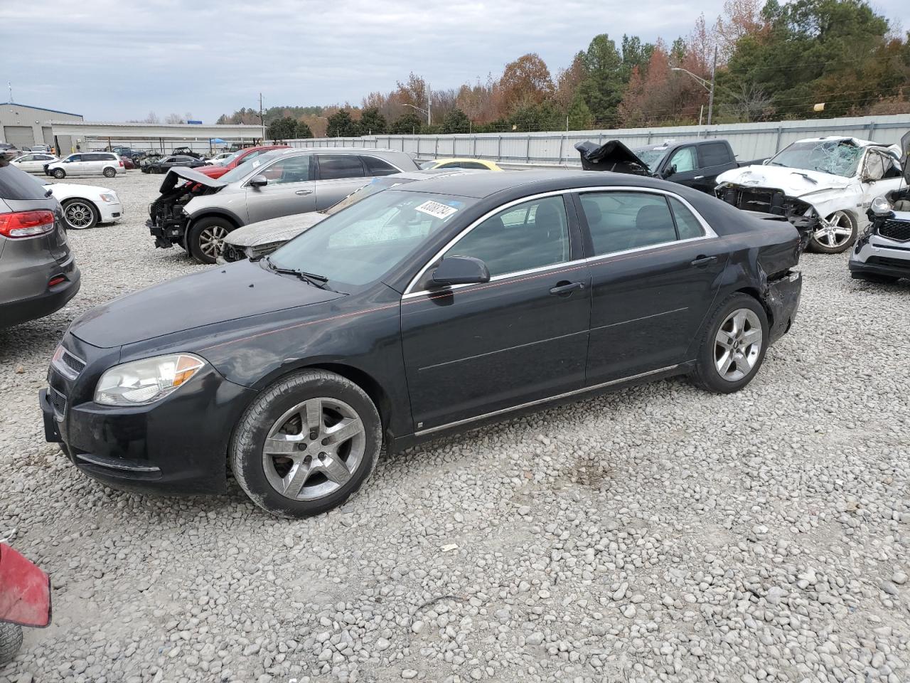 Lot #3024153860 2009 CHEVROLET MALIBU 1LT