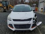 Lot #3024742230 2014 FORD ESCAPE S