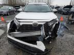 Lot #3030863511 2020 TOYOTA RAV4 XLE