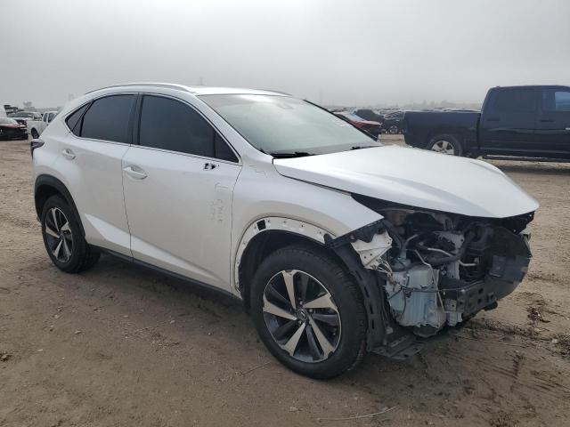 2019 LEXUS NX 300 BAS - JTJYARBZ4K2142761