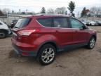 Lot #3024030272 2014 FORD ESCAPE TIT