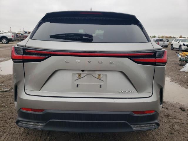 2024 LEXUS NX 250 BAS 2T2ADCAZ5RC010478