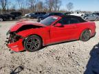 2019 FORD MUSTANG - 1FATP8UH6K5104382