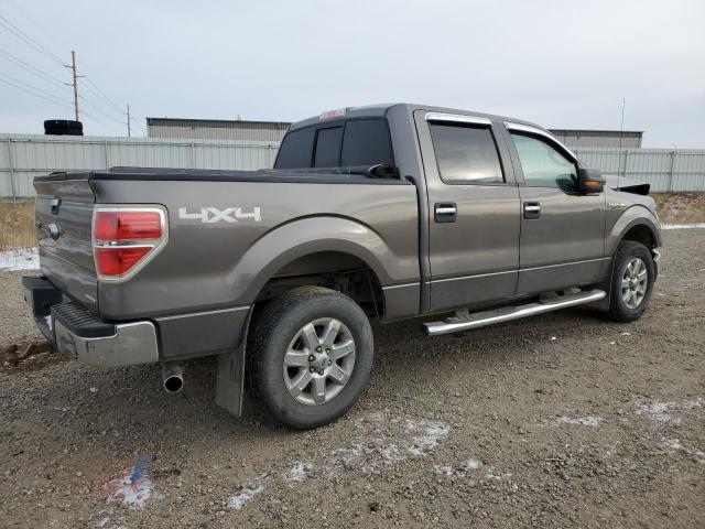 FORD F150 SUPER 2014 gray  flexible fuel 1FTFW1EF8EFA93544 photo #4