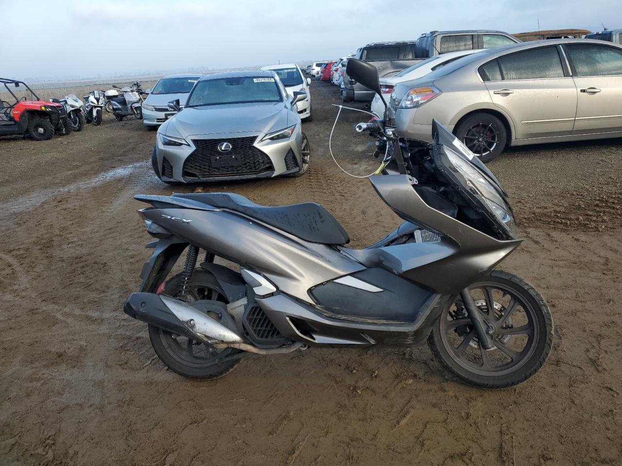  Salvage Honda Pcx