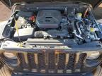 Lot #3025064217 2021 JEEP WRANGLER U