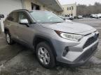 TOYOTA RAV4 XLE photo