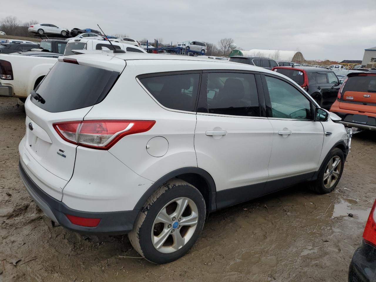 Lot #3050374917 2013 FORD ESCAPE SE