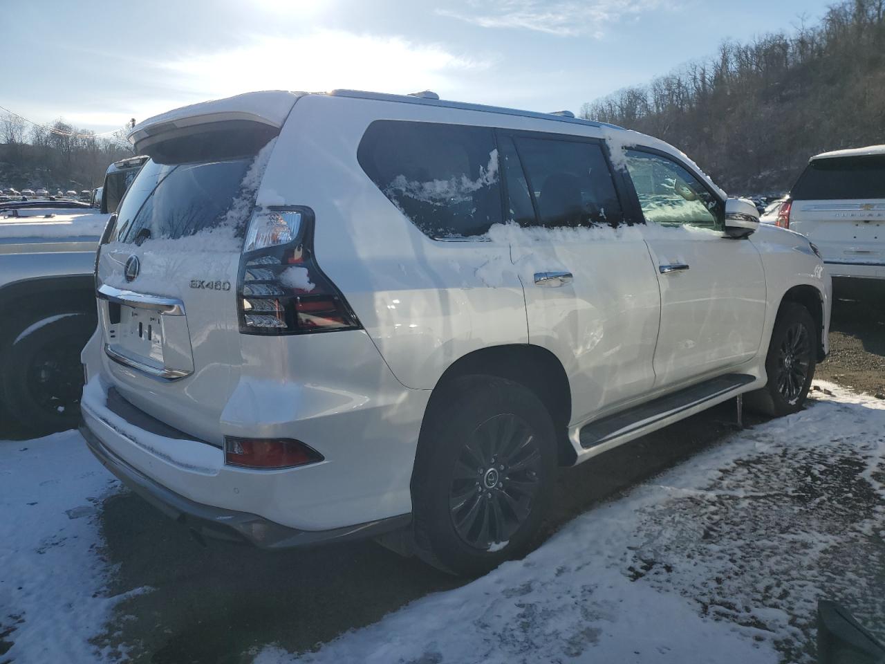 Lot #3050302900 2023 LEXUS GX 460