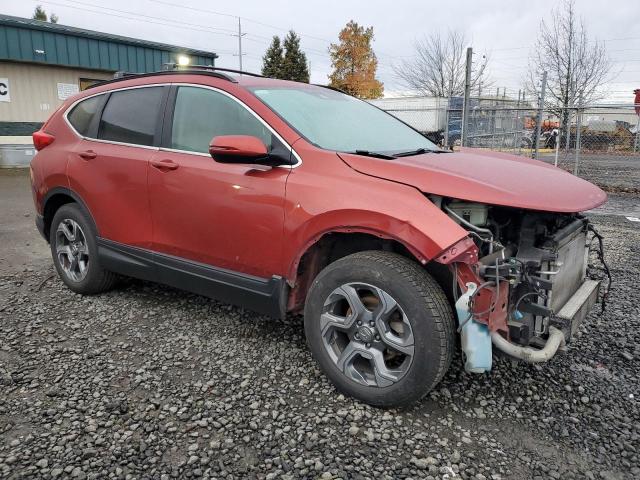 2019 HONDA CR-V EX - 2HKRW2H57KH627723