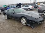 Lot #3024736296 1991 CHEVROLET CORVETTE