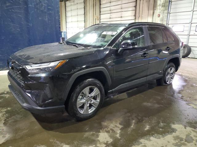 2T3RWRFV2RW245209 - 2024 TOYOTA RAV4 - #undefined
