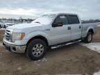 Lot #3025835316 2009 FORD F150 SUPER