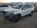 Lot #3024974157 2011 KIA SORENTO BA